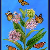 Sample image from professor James Yang's eco-art exhibit on butterfly nectar plants