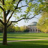 summer shot of quad