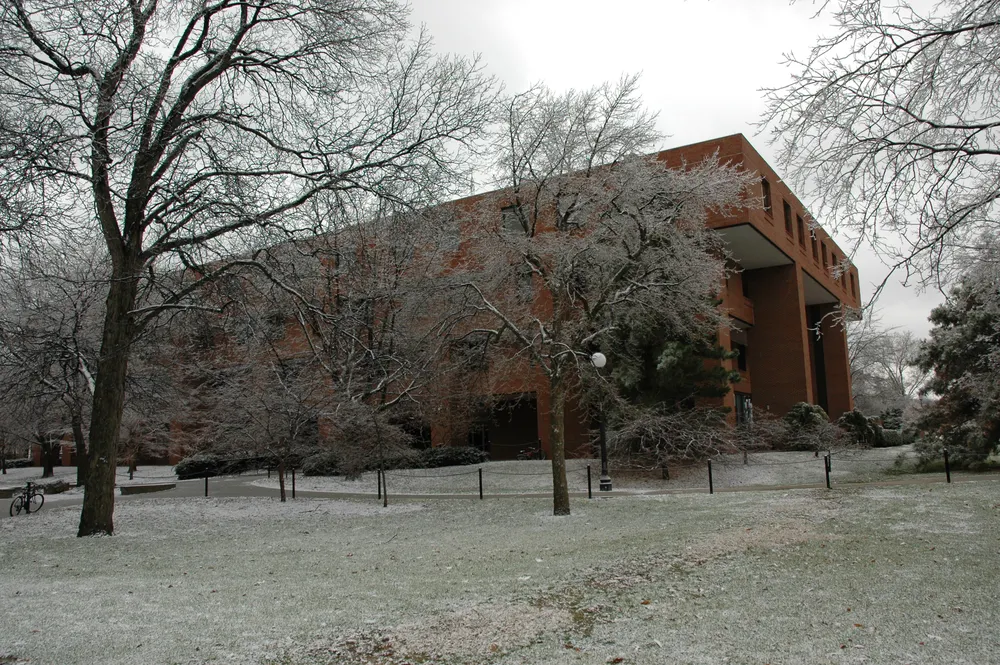 FLB in Winter