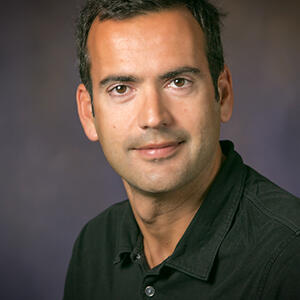 Ledesma