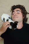 Classics cat