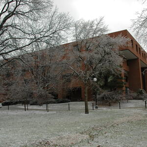 FLB in Winter